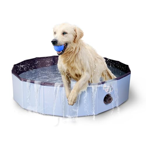 CoolPets Splash Dog Pool - Kühlungspool für Hunde - Hundepool - Hundebad - Spielerische Abkühlung - ø 80 x 20 cm - Small von CoolPets