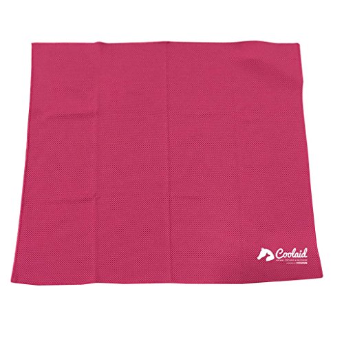 Coolaid Hunde Kühlung Großer Hund Bandana – 61 x 61 cm, Large- 24" x 24", Rose von Coolaid