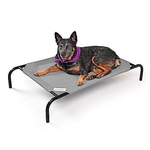 Coolaroo Gale Pacific Erhöhtes Hundebett, mittelgroß, grau von Coolaroo