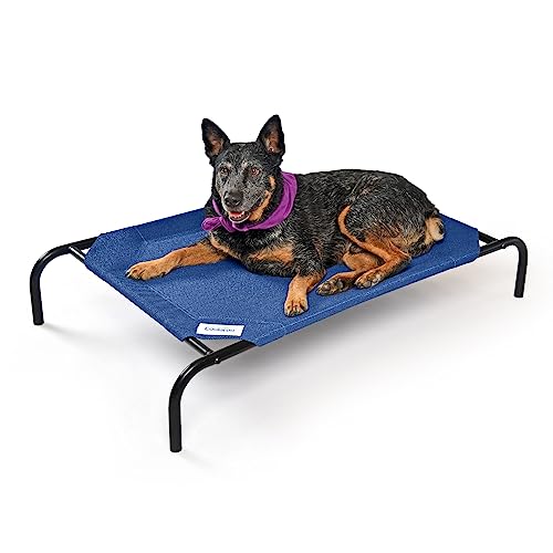 Coolaroo The Original Hundebett, kühlend, erhöht, für drinnen und draußen, Größe M, 107 cm L x 65,5 cm B x 20,3 cm T, Aquatic Blue von Coolaroo