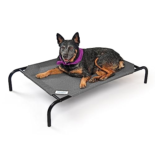 Coolaroo Das Original kühlendes erhöhtes Hundebett, für drinnen und draußen, Größe M, Gunmetal von Coolaroo