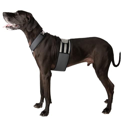 CoolerDog Hunde-Kühlweste und Kühlkragen - Eisweste für Hunde (XL) von CoolerDog