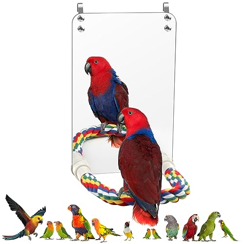 24,9 cm Vogelspiegel Coolrunner Spiegel für Vogelkäfig Vogelspiegel für Sittiche Käfig Nymphensittiche Conures Käfig Vogel Papagei Spiegel mit Seil Papagei (L) von Coolrunner