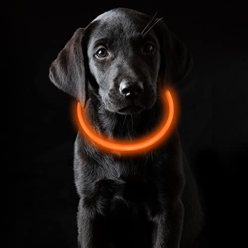 Coolzon LED Leuchthalsband Hundehalsband Aufladbar, Wasserdicht 3 Modi, Leuchtband Halsband Längenverstellbareres Super Helle Kalsband Katze und Hunde Klein Groß Mittel, Orange von Coolzon