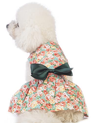 Coomour Blumenkleid für Hunde mit Blumenmuster (XL) von Coomour