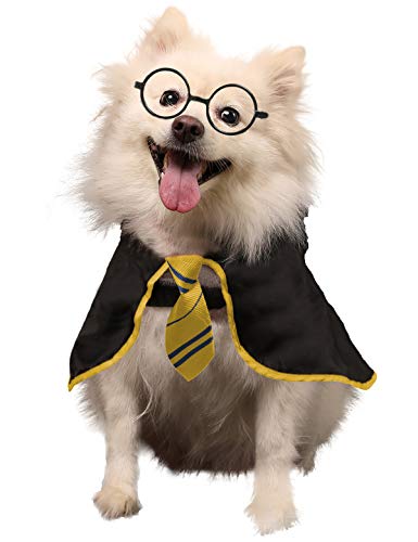 Coomour Halloween-Hundekostüm, Zauberer, Haustier-Shirt, lustige Katzenkleidung für Hunde, Katzen, Kleidung, Outfits mit Brille (Größe XL, Gelb) von Coomour