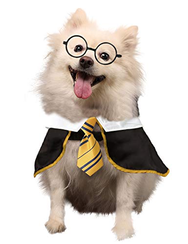 Coomour Hunde-Halloween-Kostüm, Haustier-Zauberer-Shirt, lustige Katzenkleidung für Hunde, Katzen, Kleidung mit Brille, Größe L, Gelb von Coomour