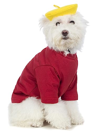 Coomour Künstler-Hundekostüm Hundeanzug mit lustigem Hut, Maler, Haustierkleidung für kleine Hunde, Welpen, Sommer-T-Shirt (S,Rot) von Coomour