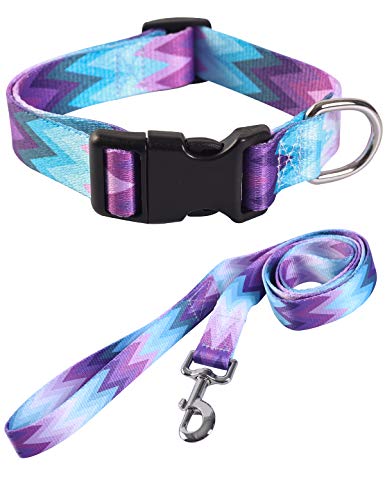 Coomour Vier-Jahreszeiten-Hundehalsband, verstellbar, weiches Winterhalsband mit Leine, für kleine, mittelgroße und große Hunde, XL, Halsumfang 48,3 - 66 cm von Coomour