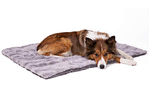 CopcoPet Hundedecke Cheyenne 120 x 100cm, Grau, waschbare Fleecedecke Hund, dicht gewebte Tierdecke, kuscheliger Schlafplatz für Hunde & Katzen von CopcoPet