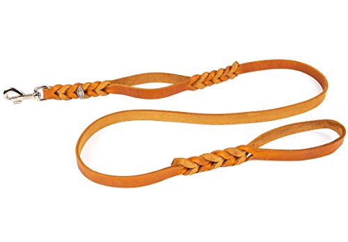 CopcoPet Hundeleine Lederleine mit 2 Handgriffen, 1,50 m x 20 mm, Cognac, Bolzenhaken aus Chrom von CopcoPet