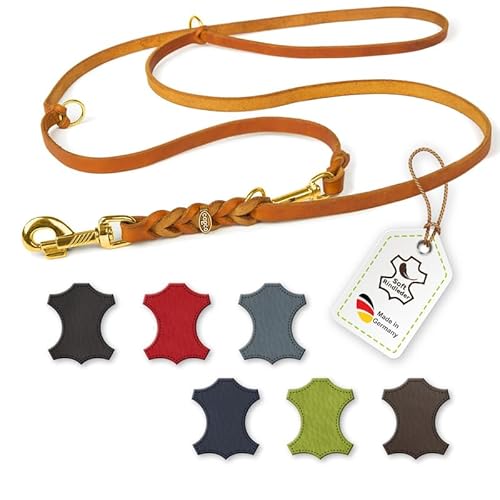 CopcoPet – Fettlederleine für Hunde – 3-Fach verstellbare Hundeleine aus weichem Leder mit Karabinern & Beschlägen aus Messing – geflochtene Führleine 100% Handmade in Germany (3 m x 18mm | Cognac) von CopcoPet