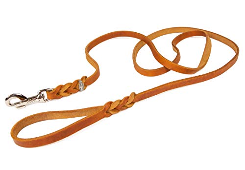 CopcoPet - Fettlederleine 1 m x 15 mm, Cognac, Hunde-Leine aus Leder mit verchromtem Karabiner, geflochtene Hunde-Führleine Leder von CopcoPet