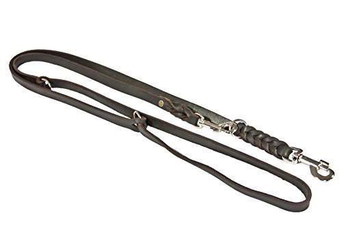 CopcoPet – Fettlederleine für Hunde – 3-Fach verstellbare Hundeleine aus weichem Leder mit Karabinern & Beschlägen aus Chrom – geflochtene Führleine 100% Handmade in Germany (3,0m x 18mm | Braun) von CopcoPet