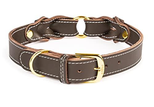 CopcoPet Hundehalsband Heidi aus Leder Braun mit Ziernaht Beschläge Messing 20 mm Breite 30-35 cm Halsumfang von CopcoPet