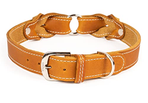 CopcoPet Hundehalsband Heidi aus Leder Cognac mit Ziernaht Beschläge Verchromt 20 mm Breite 25-30 cm Halsumfang von CopcoPet