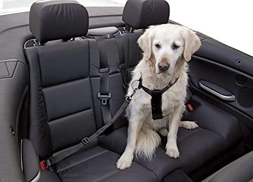 Coperani | Hundegeschirr fürs Auto | Schwarz | 30-60 cm | Verstellbar | Mit Karabinerhaken von Coperani LIEBLINGSSACHEN FÜR IHR TIER