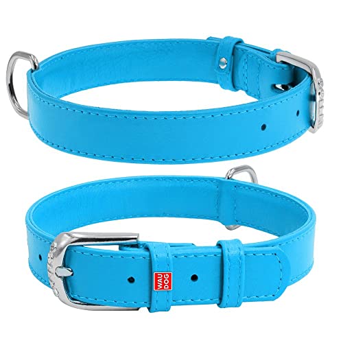 Coperani | Hundehalsband | Halsumfang: 21-29 cm | Breite: 2 cm | Leder | Blau | Langlebig | Robust | Hochwertig von Coperani LIEBLINGSSACHEN FÜR IHR TIER