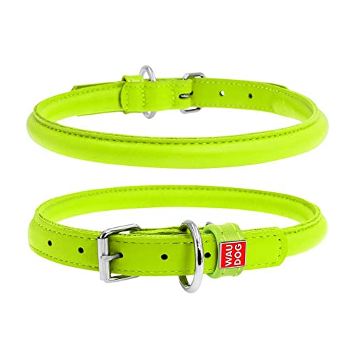 Coperani | Hundehalsband | Halsumfang: 25-33 cm | Breite: 10 mm | Leder | Limette | Edel | Langlebig | Robust | Hochwertig von Coperani LIEBLINGSSACHEN FÜR IHR TIER