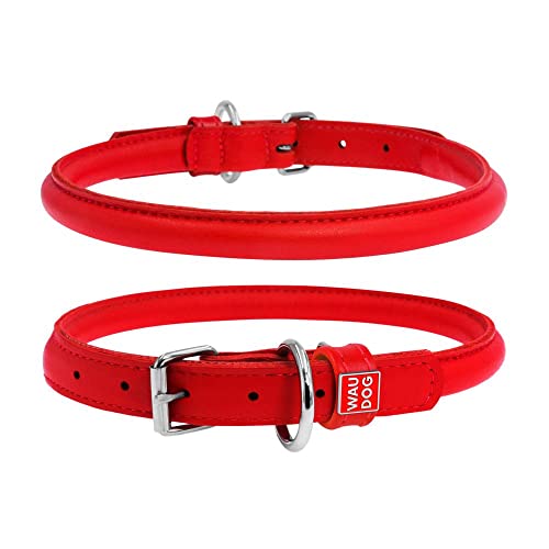 Coperani | Hundehalsband | Halsumfang: 25-33 cm | Breite: 10 mm | Leder | Rot | Edel | Langlebig | Robust | Hochwertig von Coperani LIEBLINGSSACHEN FÜR IHR TIER