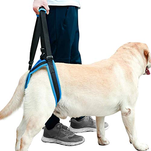 Dog Lift Harness Dog Lift Support Harness Dog Sling for Large Dogs Hind Leg Support Soft Dog Support Harness for Back Legs, Adjustable Hip Support Harness for Senior, Disabled, Injured Dog von Coppthinktu