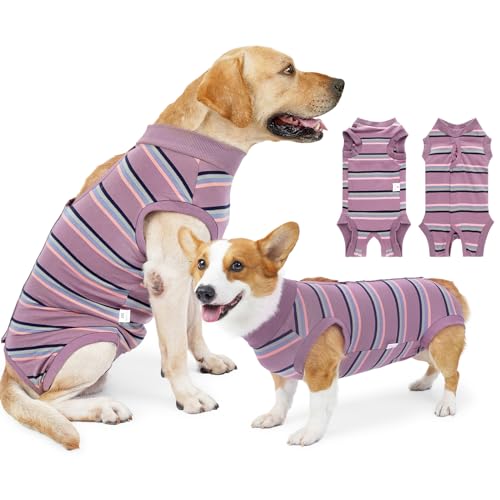 Hunde-Genesungsanzug, für Damen, Einteiler, chirurgischer Genesungsanzug für kleine, mittelgroße und große Hunde, Haustier-Genesungsshirt nach dem Spay Bauchwunden (Größe M) von Coppthinktu