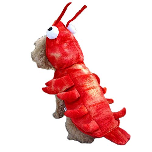 Coppthinktu - Halloween Kostüm für Hunde - Hummer Kostüm für kleine, mittelgroße und große Hunde - Rot - Fleece - Medium von Coppthinktu