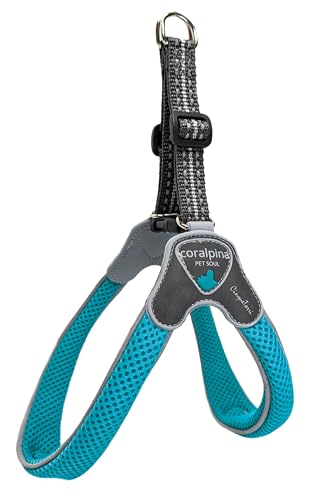 Coralpina Cinquetorri Hundegeschirr, Türkis, Größe 2 (25–35 cm) von Coralpina