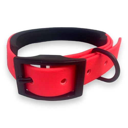 Veganes Hundehalsband, wasserdicht, antibakteriell, leicht zu reinigen, 1,6 cm x 20-30 cm, Neonrosa von Cordas Dreams