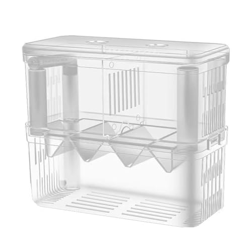 Corghd Fischzuchtbox Doppelschicht Acryl Zuchttank Isolationsbox Transparent Abnehmbare Schlüpfbox für Guppy Garnelen von Corghd