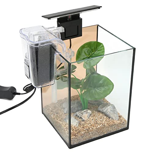 Kleines Aquarium-Starter-Set, Aquarium-Set, Einfache Installation, Sicher, Hohe Transparenz, Universelle Landschaftsgestaltung für die Desktop-Dekoration (EU-Stecker 220 V) von Cosiki