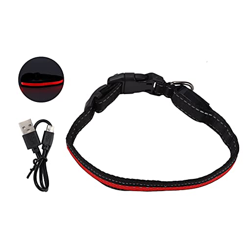 LED-Halsband für Hunde, mit USB-Ladefunktion für Katzen für den Außenbereich, Rot von Cosiki