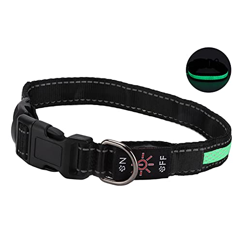 Leuchthalsband für Hunde, LED-Leuchthalsband, USB-Ladefunktion für Katzen für den Außenbereich (Grün, XL) von Cosiki