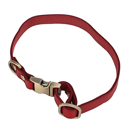 Weich gepolstertes Lederhalsband, atmungsaktives Leder gepolstertes Halsband Weich personalisiert durchsichtig mit gravierter Schnalle für Hunde für Katzen (rot, S) von Cosiki