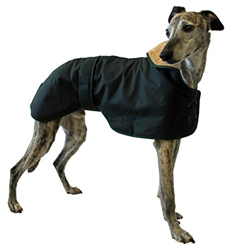 Cosipet Made in The UK Hunter Greyhound/Whippet Dog Coat - 45cm / 18inch von Cosipet