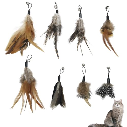 Cosswe 8 Stück Cat Feather Toys Ersatz Katzenspielzeug Feder Katzen Federspielzeug für Katzen inklusive Nachfüllungen für natürliche Katzenfedern von Cosswe