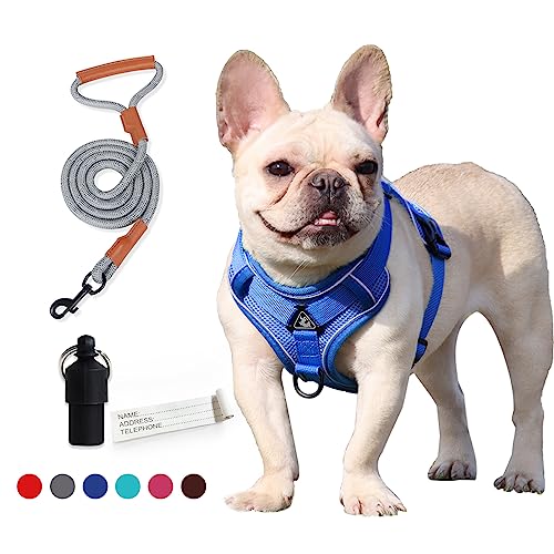 CosyLife Hundegeschirr, kein Ziehen, verstellbares Haustiergeschirr mit 2 Leinenclips, reflektierend, atmungsaktiv, weiches Air-Mesh-Hundeweste + Leine, kein Würgen Haustierwestengeschirr (Blaues von CosyLife