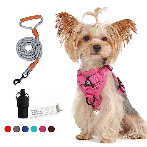 CosyLife Hundegeschirr, kein Ziehen, verstellbares Haustiergeschirr mit 2 Leinenclips, reflektierend, atmungsaktiv, weiches Air-Mesh-Hundeweste + Leine, kein Würgen Haustierwestengeschirr (Rosa von CosyLife