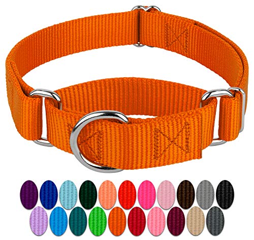 COUNTRY BROOK DESIGN Country Brook Petz Hundehalsband Nylon strapazierfähig Orange Martingale 21 lebendige Farboptionen 2,5 cm breit Größe XL von Country Brook Design