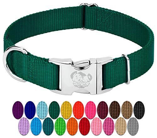 Country Brook Design - Lebendige 30+ Farbauswahl – Premium-Nylon-Hundehalsband mit Metallschnalle (klein, 1,9 cm, grün) von Country Brook Design