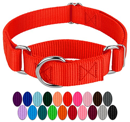 Country Brook Petz Hundehalsband, Martingale, strapazierfähig, Nylon, 21 kräftige Farboptionen (2,5 cm breit, Größe M) von Country Brook Design