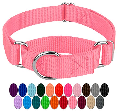 Country Brook Petz Hundehalsband, Martingale, strapazierfähig, Nylon, erhältlich in 21 kräftigen Farben (0,9 cm breit, Größe XL) von Country Brook Design