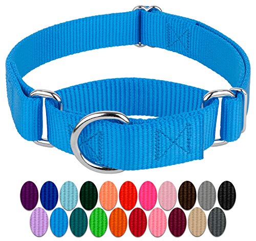 Country Brook Petz Hundehalsband, Nylon, robust, Martingale, Eisblau, 21 lebendige Farboptionen (2,5 cm Breite, Größe M) von Country Brook Design