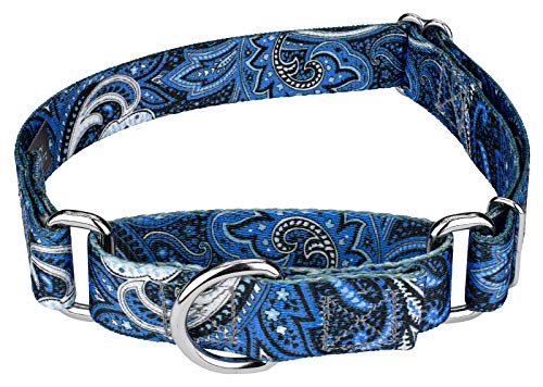 Country Brook Petz Hundehalsband, Paisley-Kollektion mit 6 klassischen Designs (1,6 cm, Größe S) von Country Brook Design