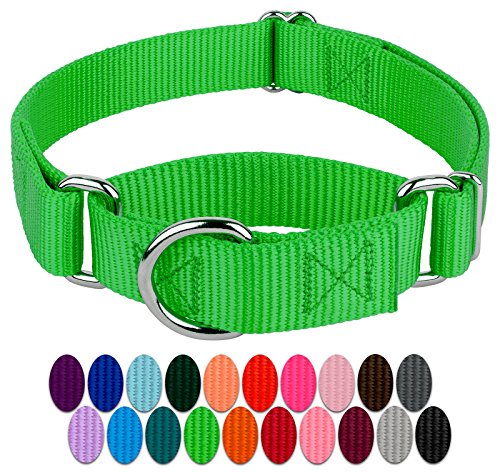 Country Brook Petz Hundehalsband Martingale, strapazierfähig, Nylon, Small, 3/4 Inch Wide, Hot Lime Green von Country Brook Design