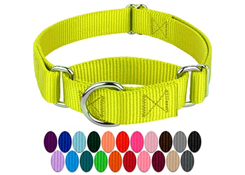 Country Brook Petz Martingale Hundehalsband, Nylon, strapazierfähig, 21 lebendige Farboptionen (1,9 cm Breite, klein) von Country Brook Design