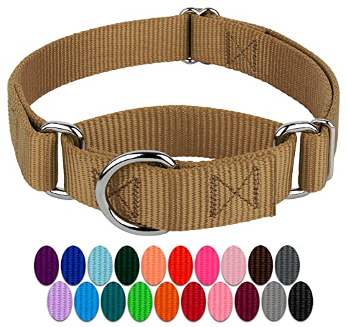 Country Brook Petz Martingale Hundehalsband, robustes Trainingshalsband ohne Schnalle, Service-Hundehalsband für alle Welpen, lebendige, bunte Kollektion, Größe S, Kojotenbraun von Country Brook Design