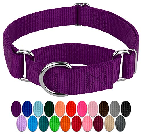 Country Brook Petz Martingale-Hundehalsband, robustes Trainingshalsband ohne Schnalle, Service-Hundehalsband für alle Welpen, lebendige, bunte Kollektion (Violett, 2,5 cm, Größe M) von Country Brook Design