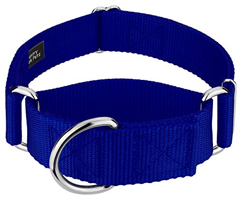 Country Brook Petz – breites Hundehalsband, verstellbar für große Rassen, Martingale massives Nylon-Hundehalsband, Größe L, 3,8 cm breit, Königsblau von Country Brook Design