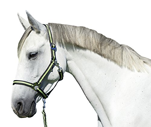 Kerbl Nylonhalfter Hippo, Halfter Nylon Warmblut, Anthrazit/Lemon von Covalliero